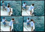 (33) montage (rig fishing).jpg    (1000x720)    471 KB                              click to see enlarged picture